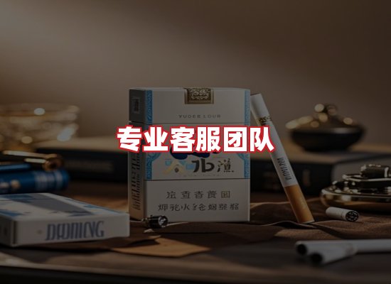 专业团队